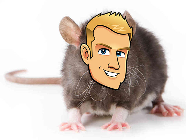 2015, The Year of the Rat!